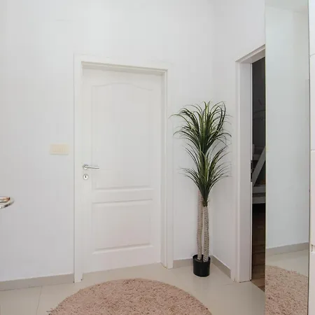 In With Wi-fi * Debeljak