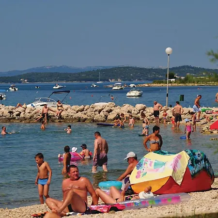 In With Wi-fi * Debeljak