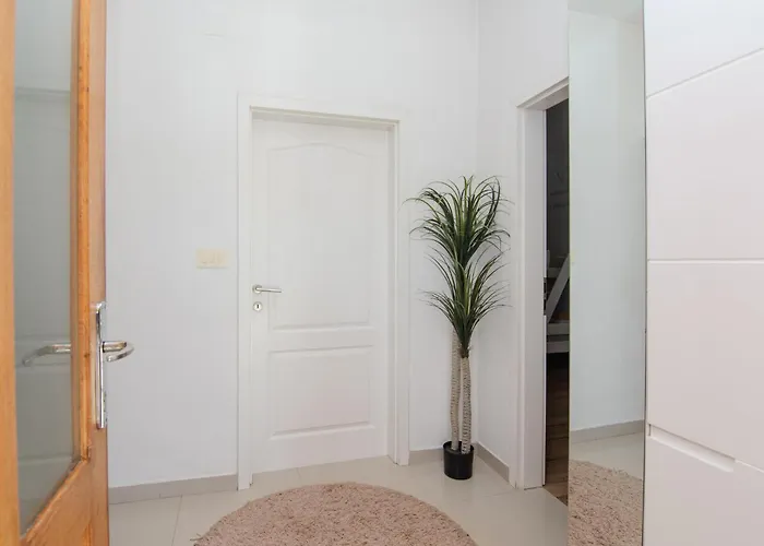 In With Wi-fi * Debeljak