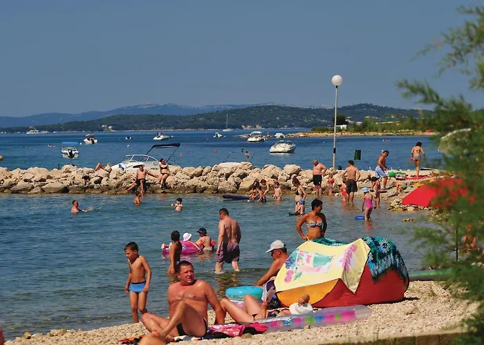 In With Wi-fi * Debeljak