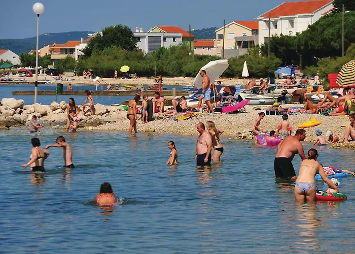 In With Wi-fi * Debeljak